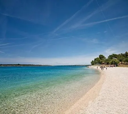 With Free Parking And No Balcony But Terase In Front Of The House *